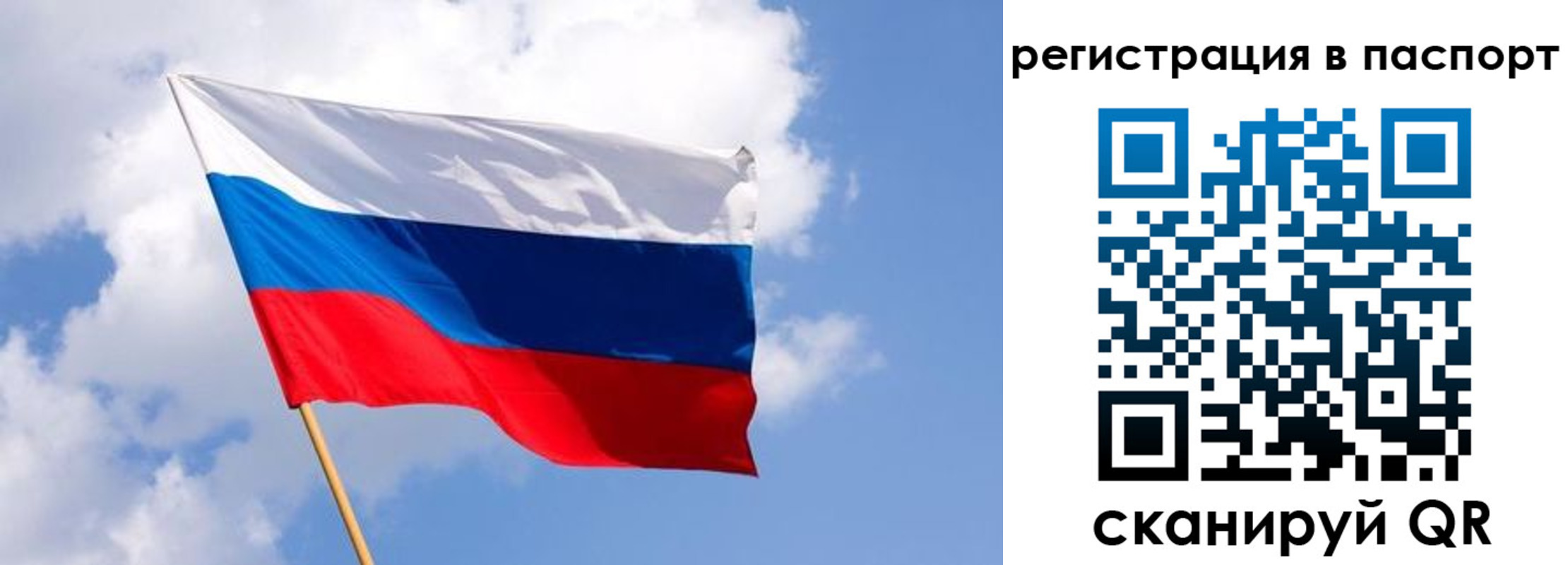 прописка от собственника в Лесозаводске